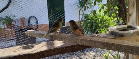 Parco della struttura