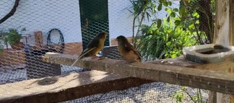 Quinta da Ponte das Hortas 2