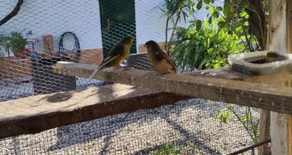 Quinta da Ponte das Hortas 2