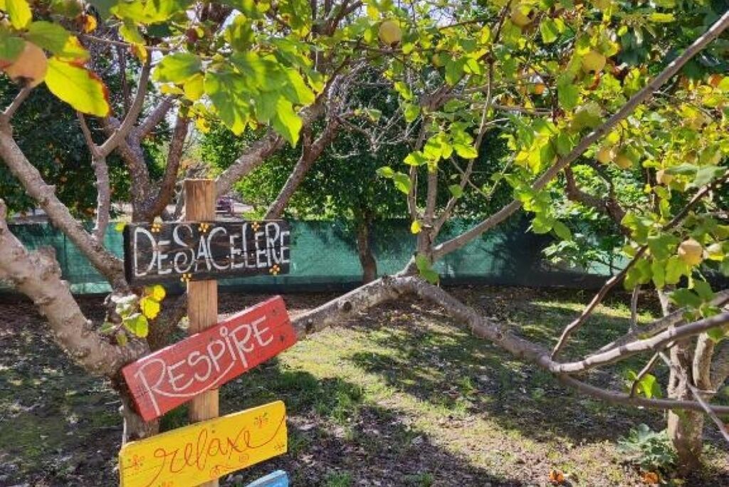 Áreas de la propiedad