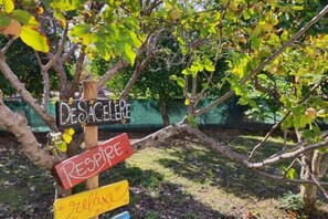 Overnattingsstedets uteområder