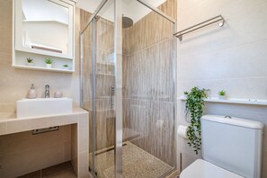 Shower, hair dryer, towels