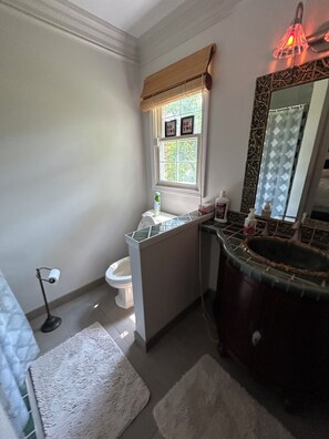 Shower, hair dryer, towels, soap - Rustic Luxe 4BR 2.5 Bath 1.5 Acres, in Heart of Brighton – Entire Spacious Home (Brighton)