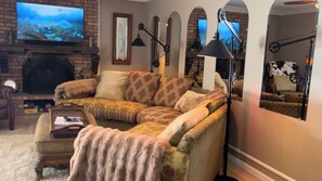 Smart TV, fireplace, DVD player, video library