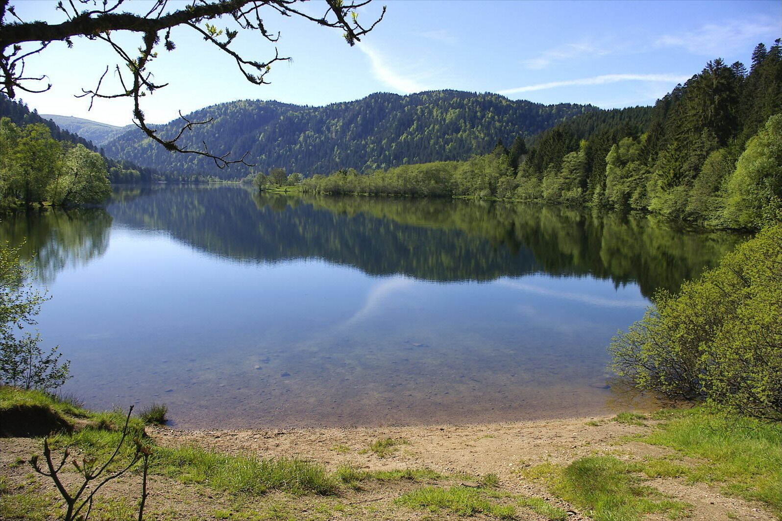 A serene lake surrounded by forested hills.