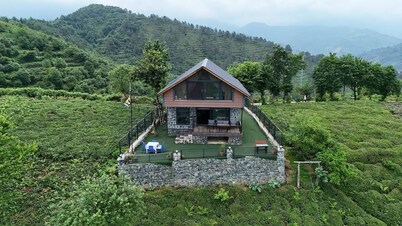 Doğa ve Deniz Manzaralı Lüks Villa