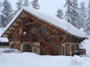 Exteriör
