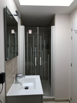 Shower, hair dryer, soap, toilet paper