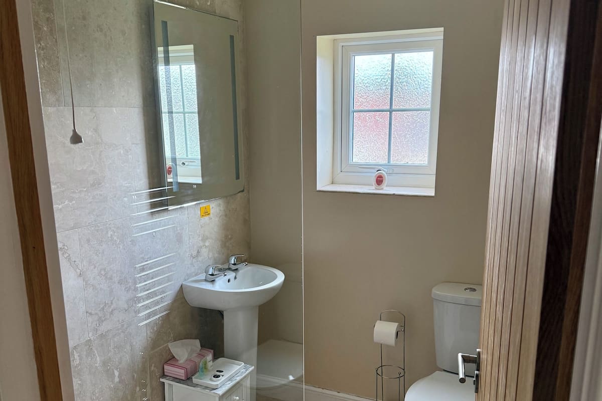 Family Double Room, Non Smoking | Bathroom | Shower, hair dryer, towels, soap