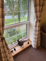 家庭双人房或双床房, 允许带宠物 | 起居区 | 20-英寸电视（配备数码频道）