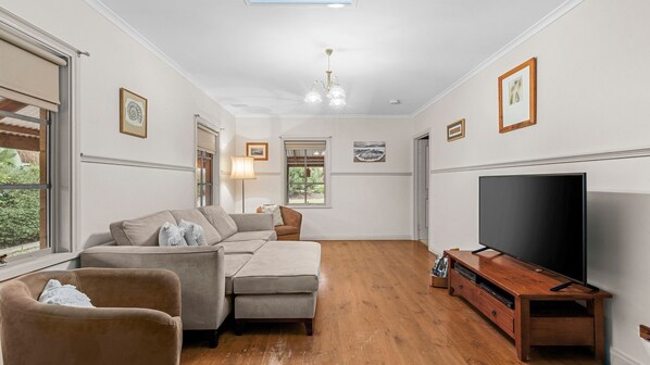 Älytelevisio, DVD-soitin