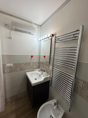 Shower, hair dryer, bidet, towels