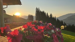 Ein hölzerner Pflanzkasten mit roten Blüten, eine Holzkonstruktion und eine bergige Landschaft im Hintergrund.