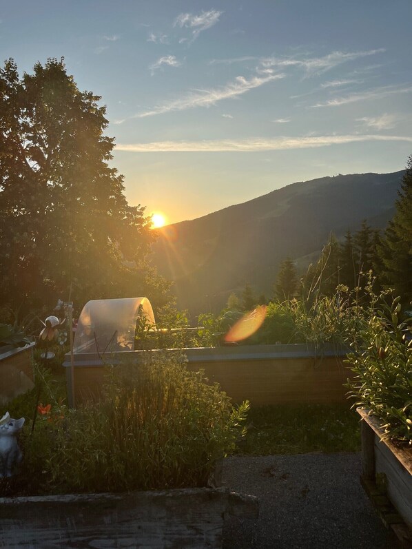 A tent in a garden with a mountain in the background.