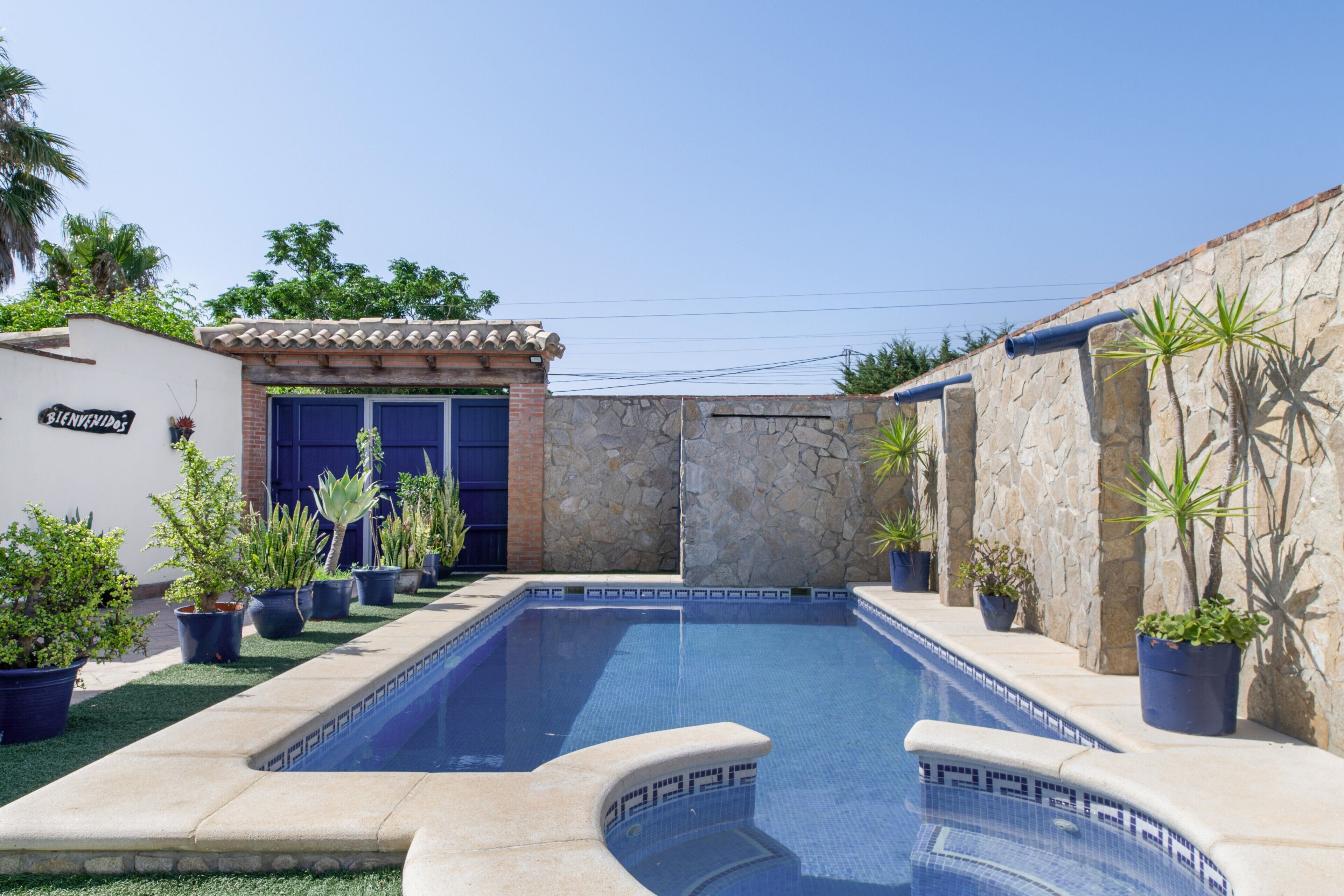 Una piscina con borde de azulejos, rodeada de plantas en macetas y un muro de piedra.
