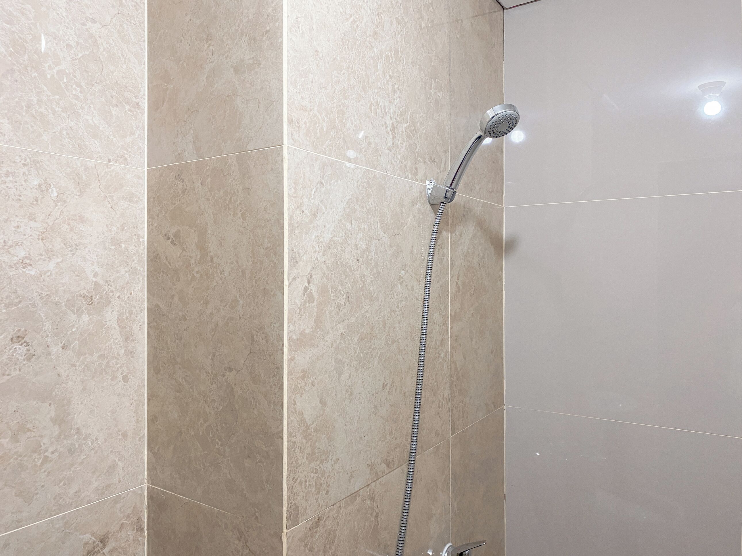 Une douche équipée d’un pommeau de douche à main et d’un flexible.