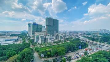 Standard Studio | City view