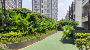 Un chemin bordé d’une végétation luxuriante et de bâtiments modernes.