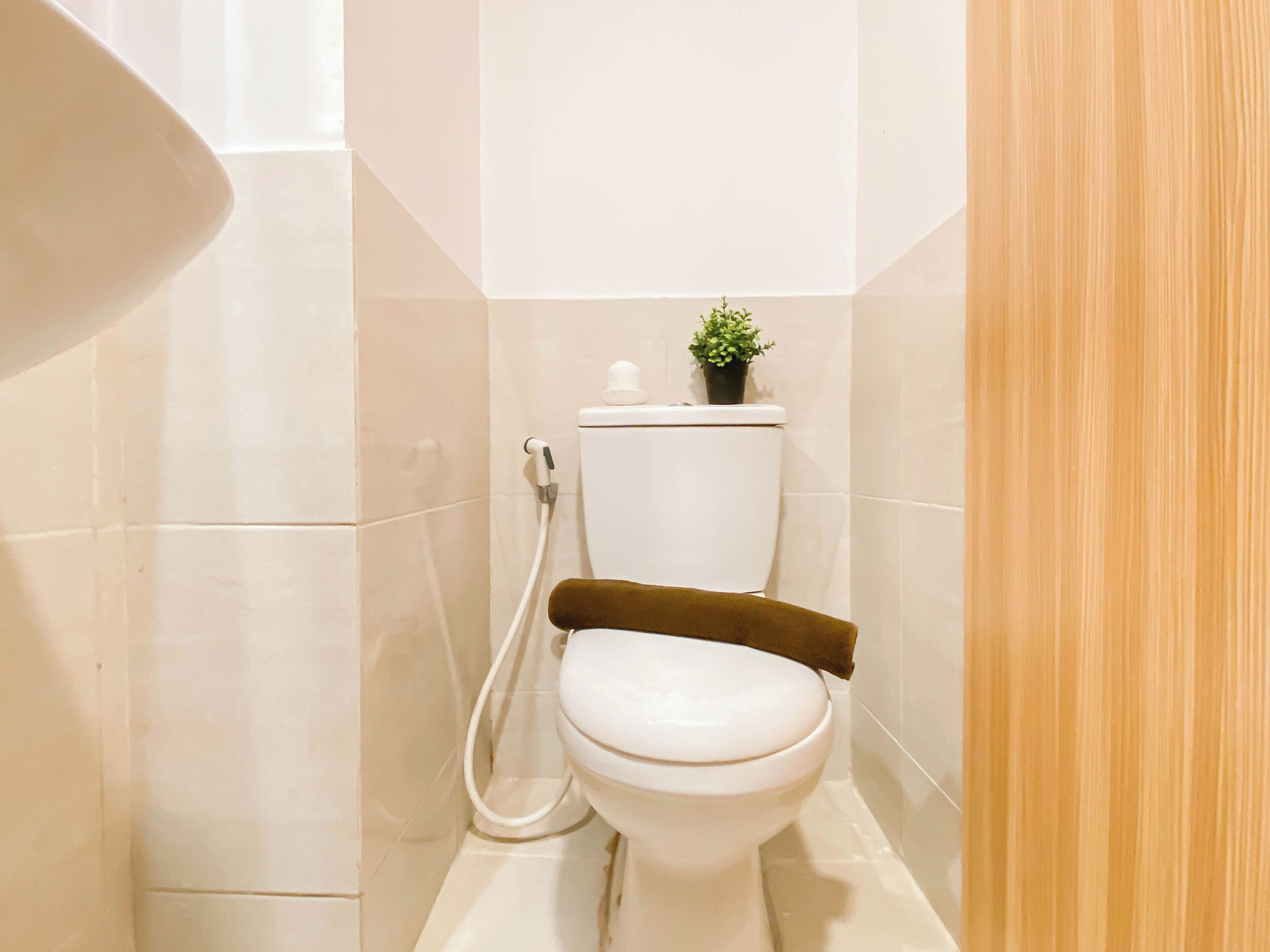 A small, modern bathroom with a white toilet, a shower area, and a potted plant on the toilet tank.