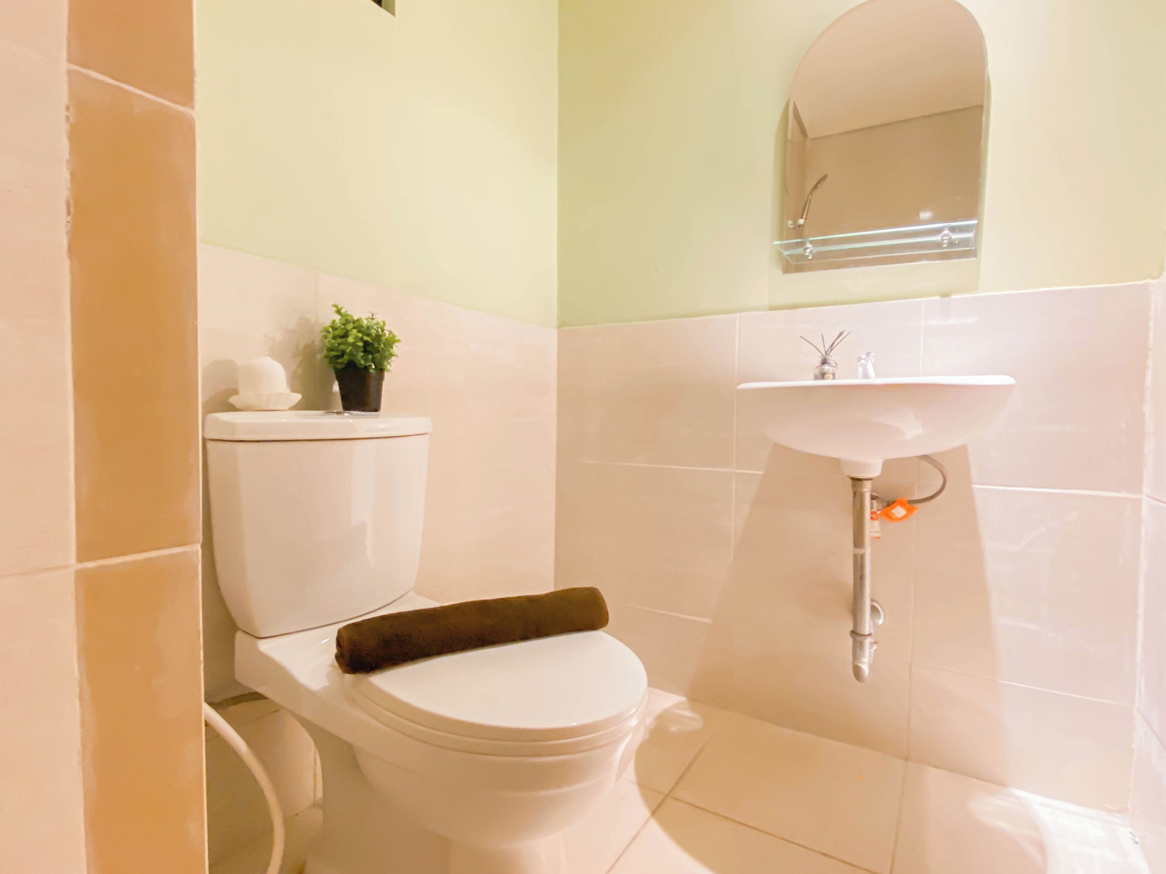 A bathroom with a toilet, a sink, and a small potted plant.