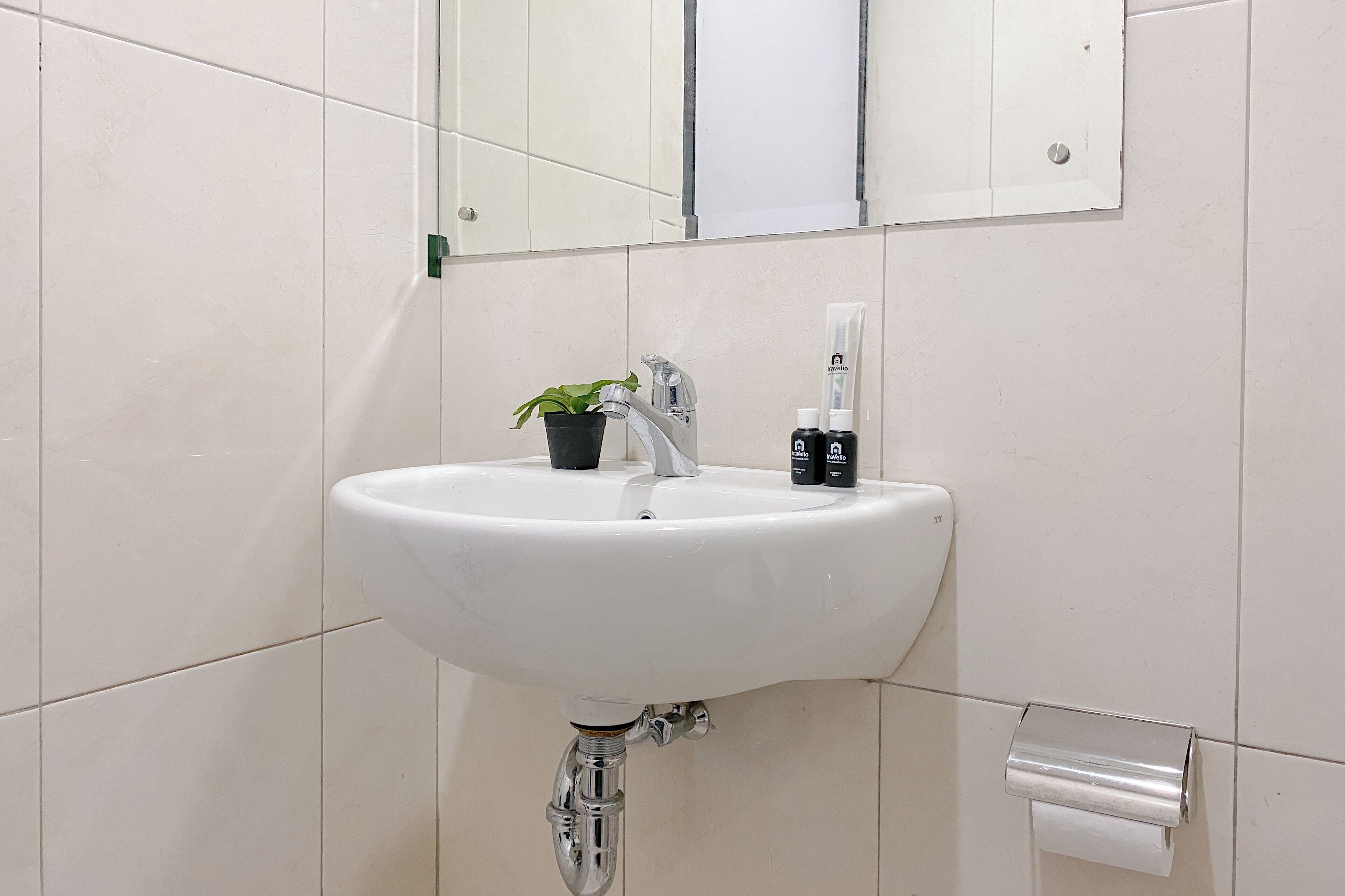 A bathroom sink with a mirror above it, a potted plant, and two bottles of hand soap.