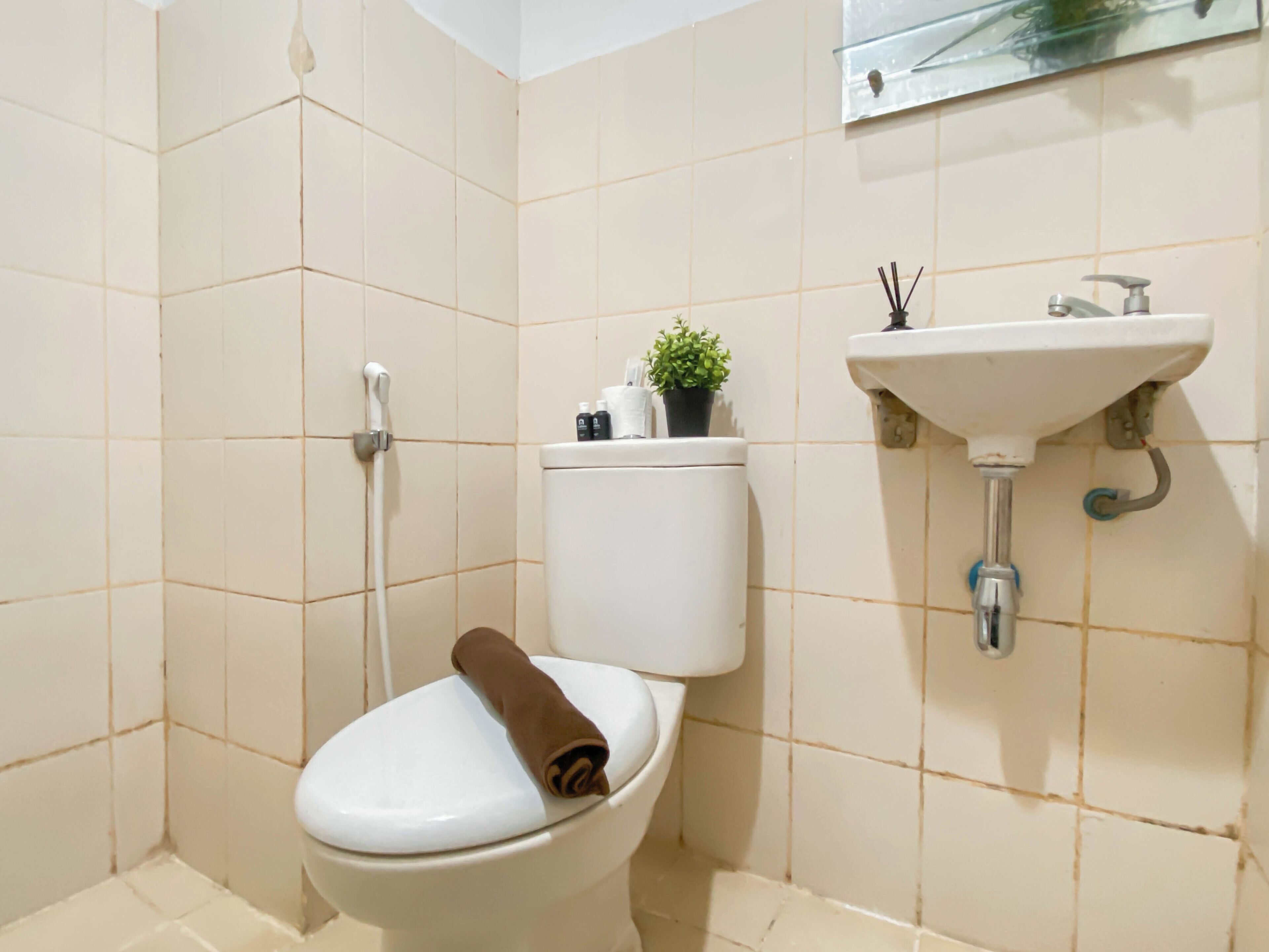 A bathroom with a toilet, a sink, and a shower.
