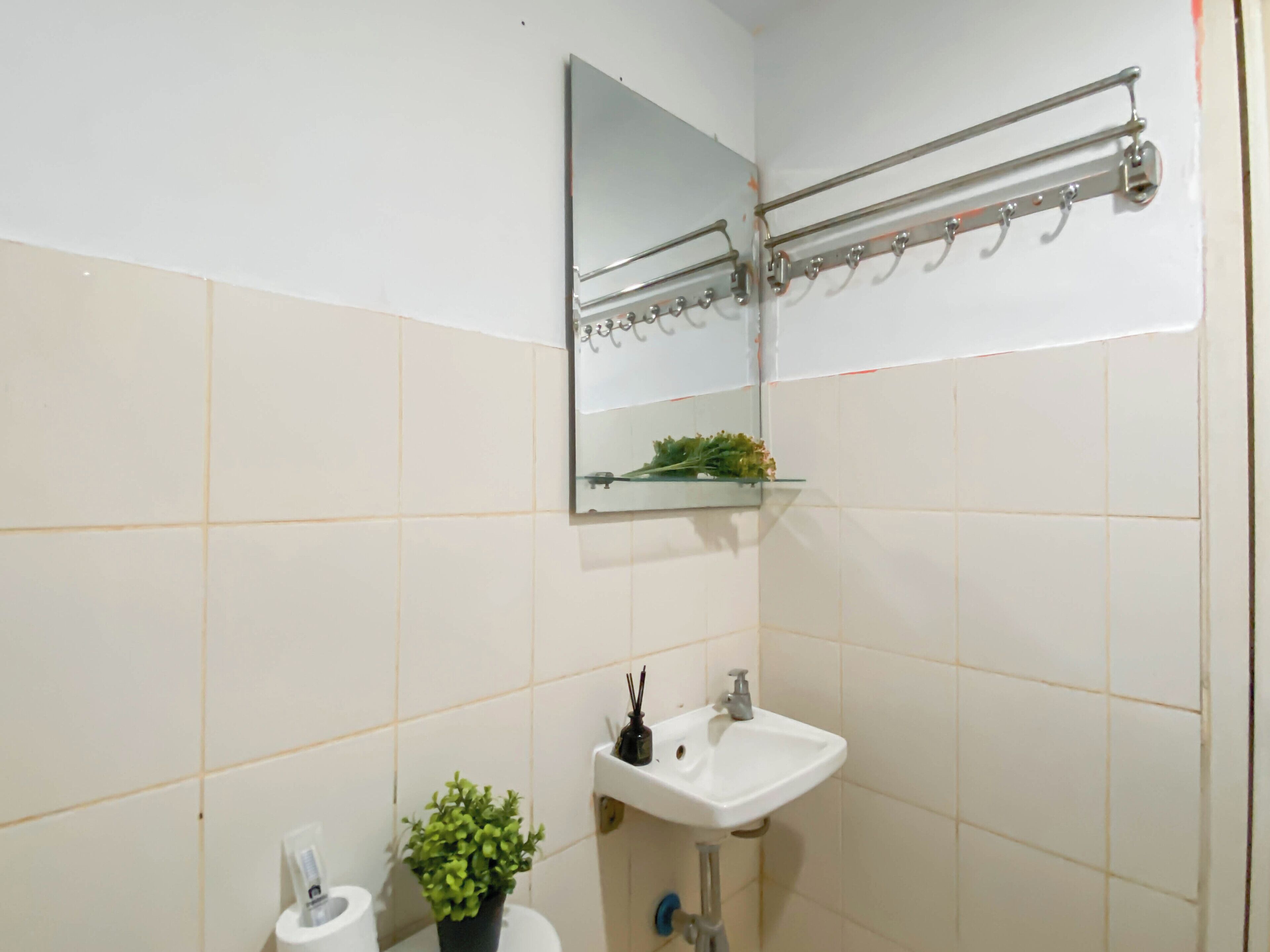 A bathroom with a white sink, a mirror, a towel rack, and a small potted plant.