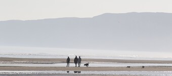 Dog & family friendly 2 bedroom sleeps 6, 10 mins walk to the beach