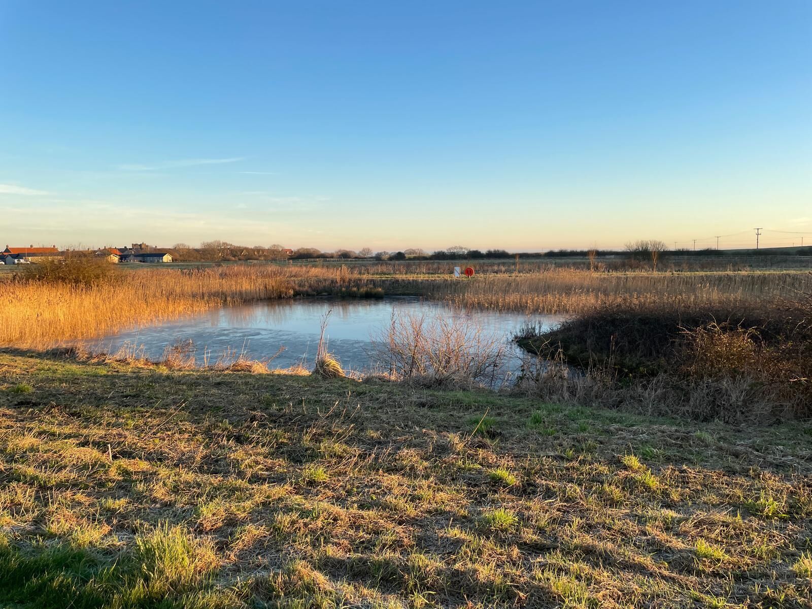 A natural landscape with a pond, grassy fields, and distant buildings.