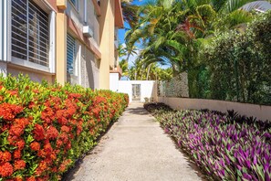 Property grounds - Ocean View 1st Floor APT w/ Pool on Beach (Luquillo)