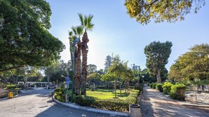 Un parque con un camino pavimentado, palmeras y arbustos bien cuidados.