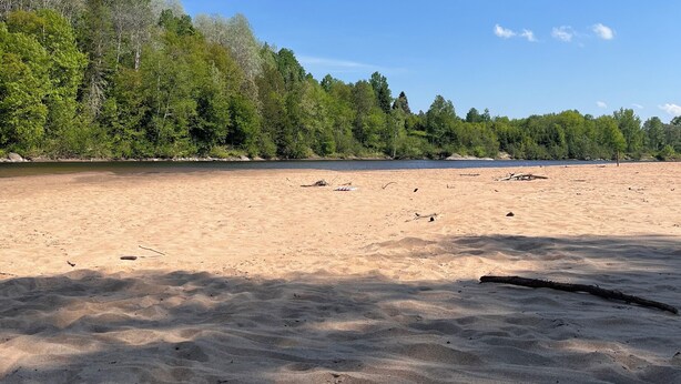 Ein Sandstrand mit Bäumen im Hintergrund und einem klaren Himmel.
