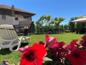A grassy outdoor area with a white chair, a stroller, and a bench.