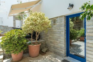 A potted tree, a motorcycle, and a blue door in a courtyard.