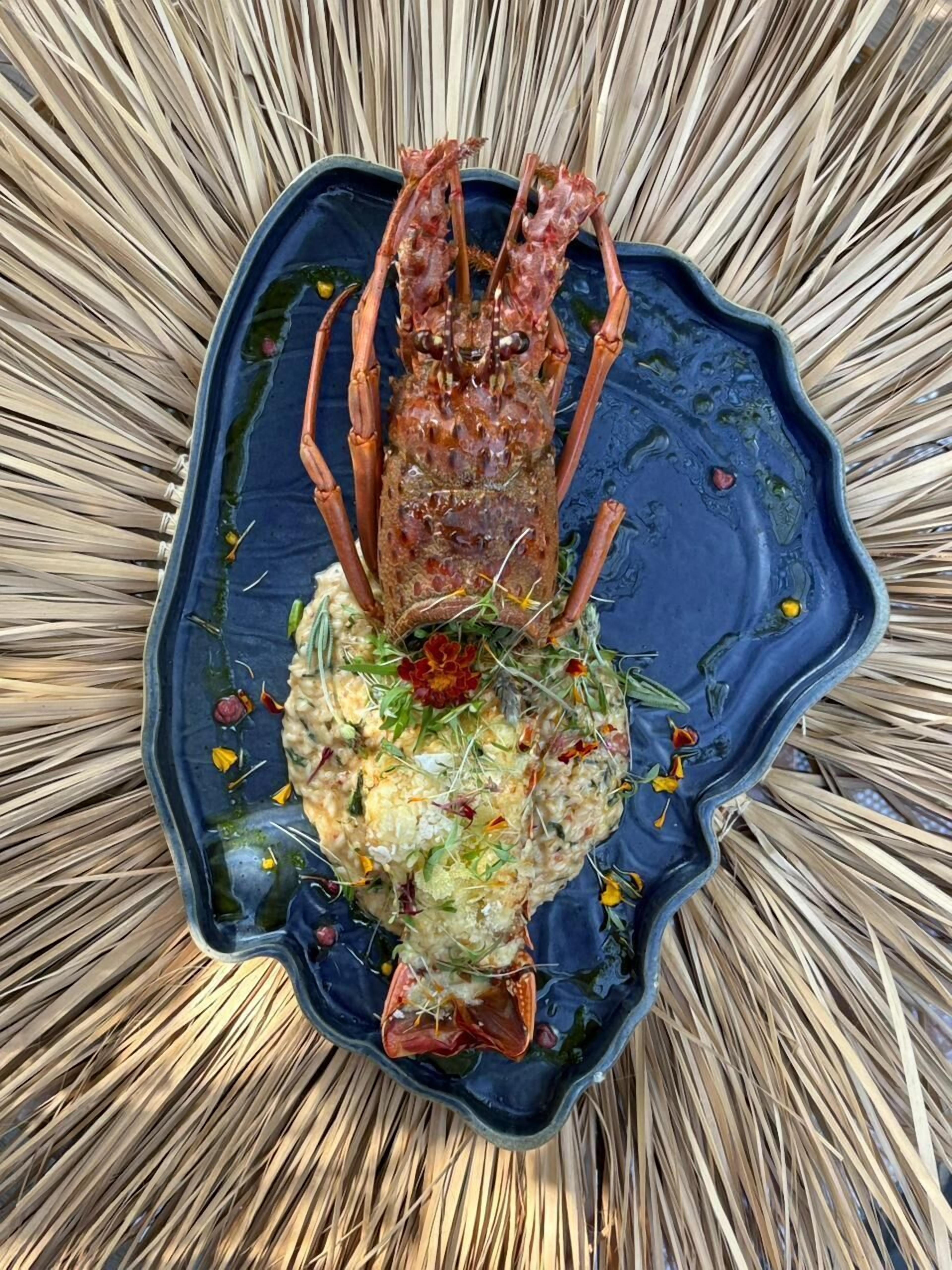 Un bogavante sobre un plato azul con un diseño decorativo, rodeado de hierba seca.