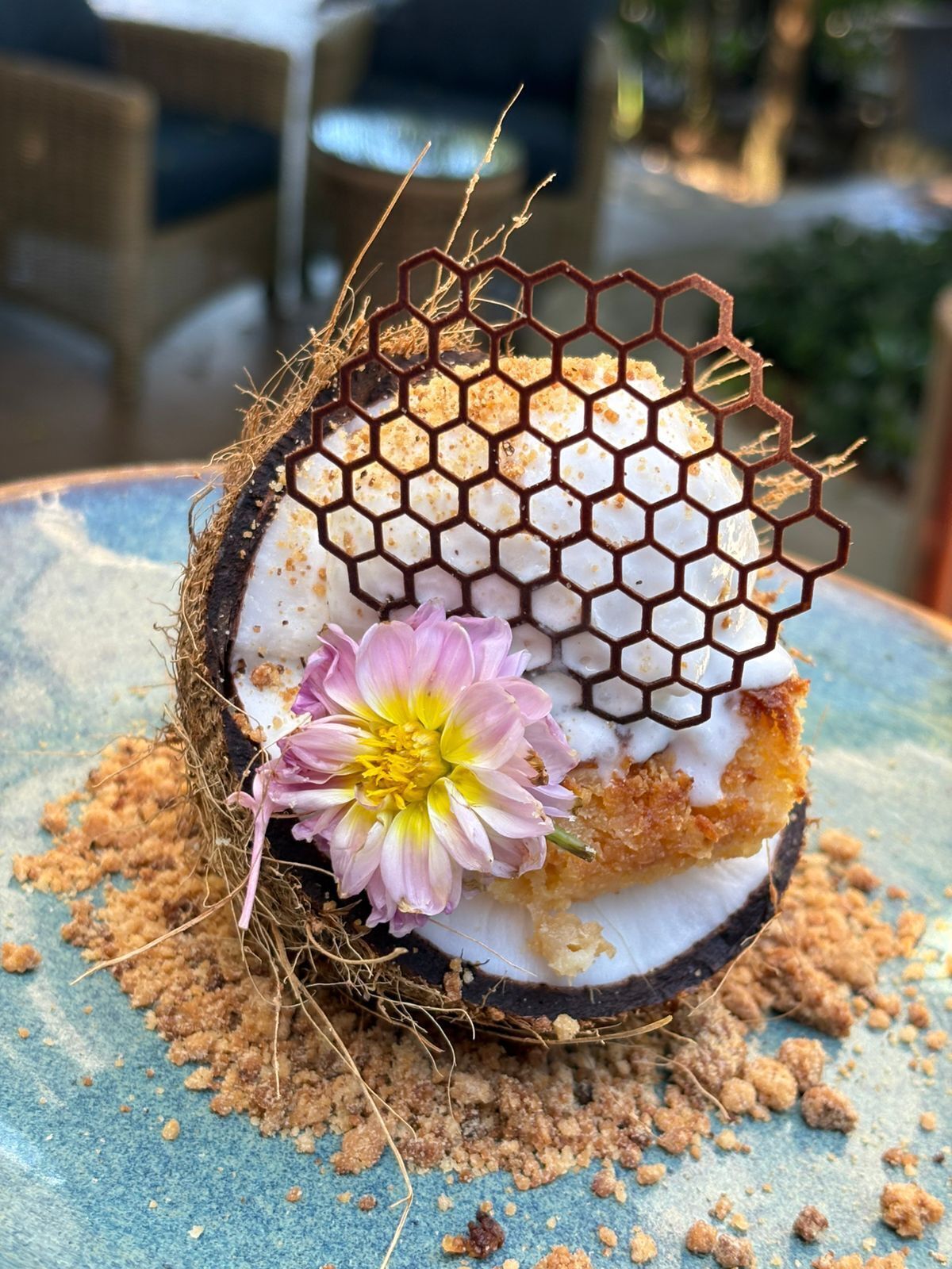 Un postre con estructura de panal, una flor y base de coco sobre un plato azul.
