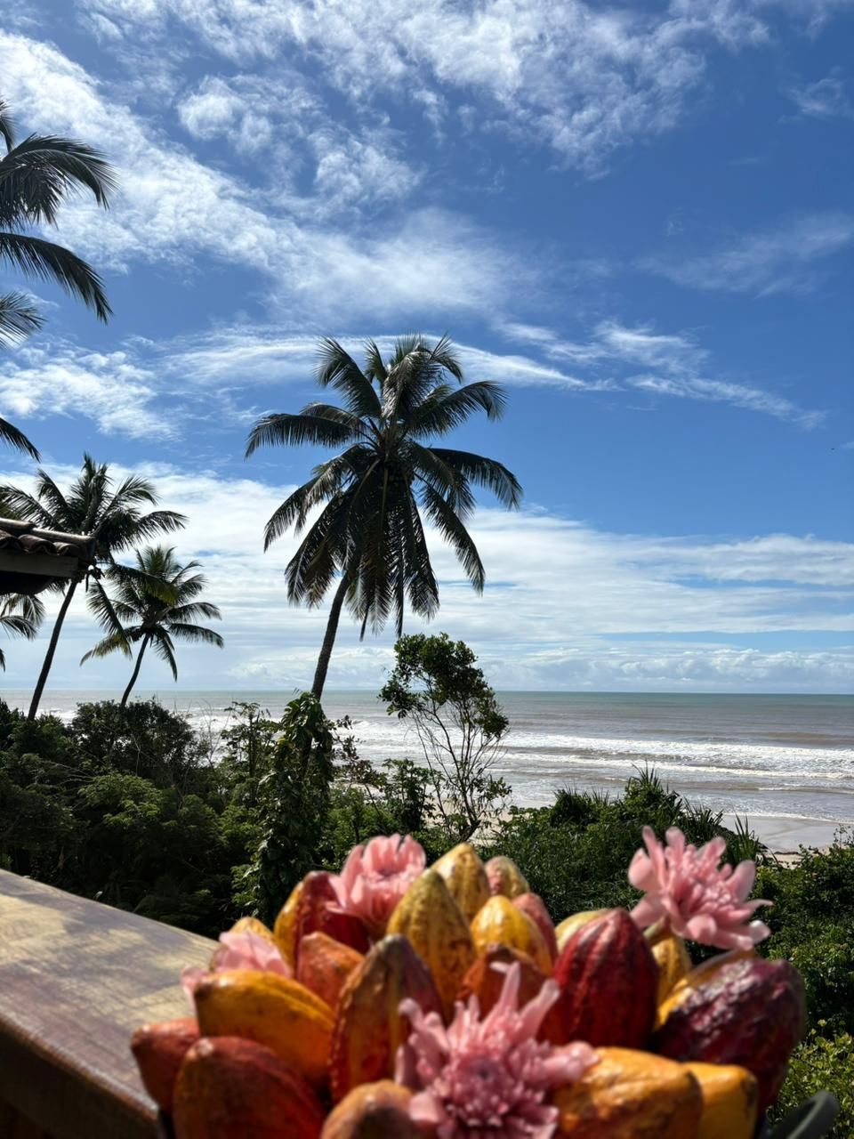 A tropical beach view with palm trees and a clear sky.