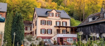 Villa Muehlenschenke Game-Room Vineyard and more