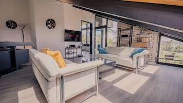 TV, fireplace, video games, books