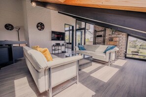 Télévision, cheminée, jeux vidéo, livres