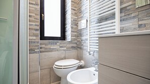 Shower, hair dryer, bidet, towels