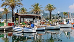 A marina with several boats docked, a covered structure, and palm trees in the background.
