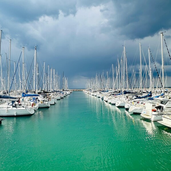 Marina