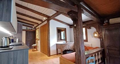 Appartement plein sud avec jardin proche centre