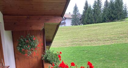 Cozy panoramic apartment a few minutes from the center of Cortina.