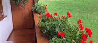 Cozy panoramic apartment a few minutes from the center of Cortina.