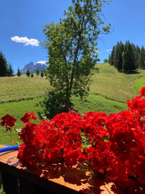 Una mesa con flores rojas y vistas a una colina cubierta de pasto, con árboles y montañas al fondo.
