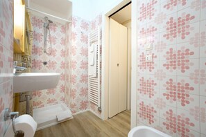 Shower, hair dryer, bidet, towels