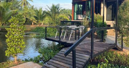 Darisa home àžàž”àčàžàž±àžàčàžàž„àčàžàž±àž§àčàžĄàž·àžàžàžȘàžžàžŁàžČàž©àžàžŁàčàžàžČàžàž” àčàžàž”àžąàž 6 àžàžŽàčàž„àčàžĄàžàžŁ àžàžŁàžŁàžąàžČàžàžČàžšàžàž”àžĄàžČàž