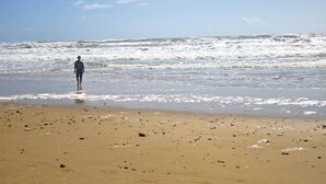 A beach with a person standing in the water. - Vista al Mar con terraza-Apartamento Costa Ballena (chipiona)